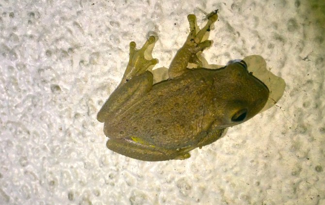 20210126_021701197_iOS