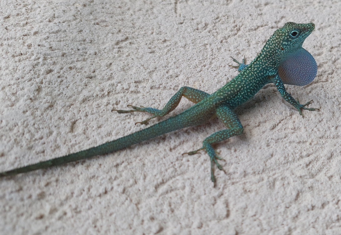 This image has an empty alt attribute; its file name is screen-shot-2023-08-11-at-9.29.42-pm.png