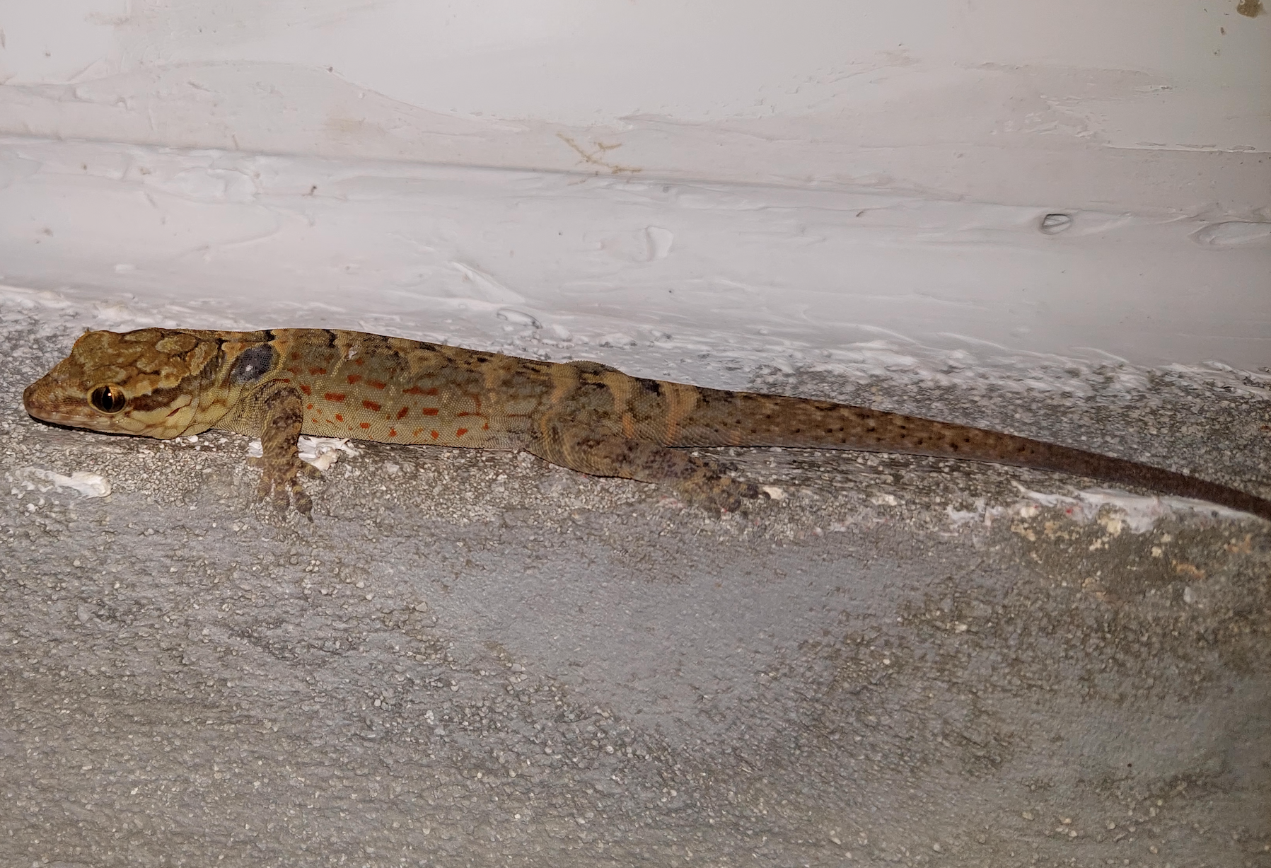 Screen Shot 2023-08-12 at 3.35.28 PM