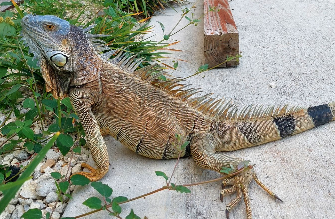 Screen Shot 2023-08-16 at 2.31.36 PM