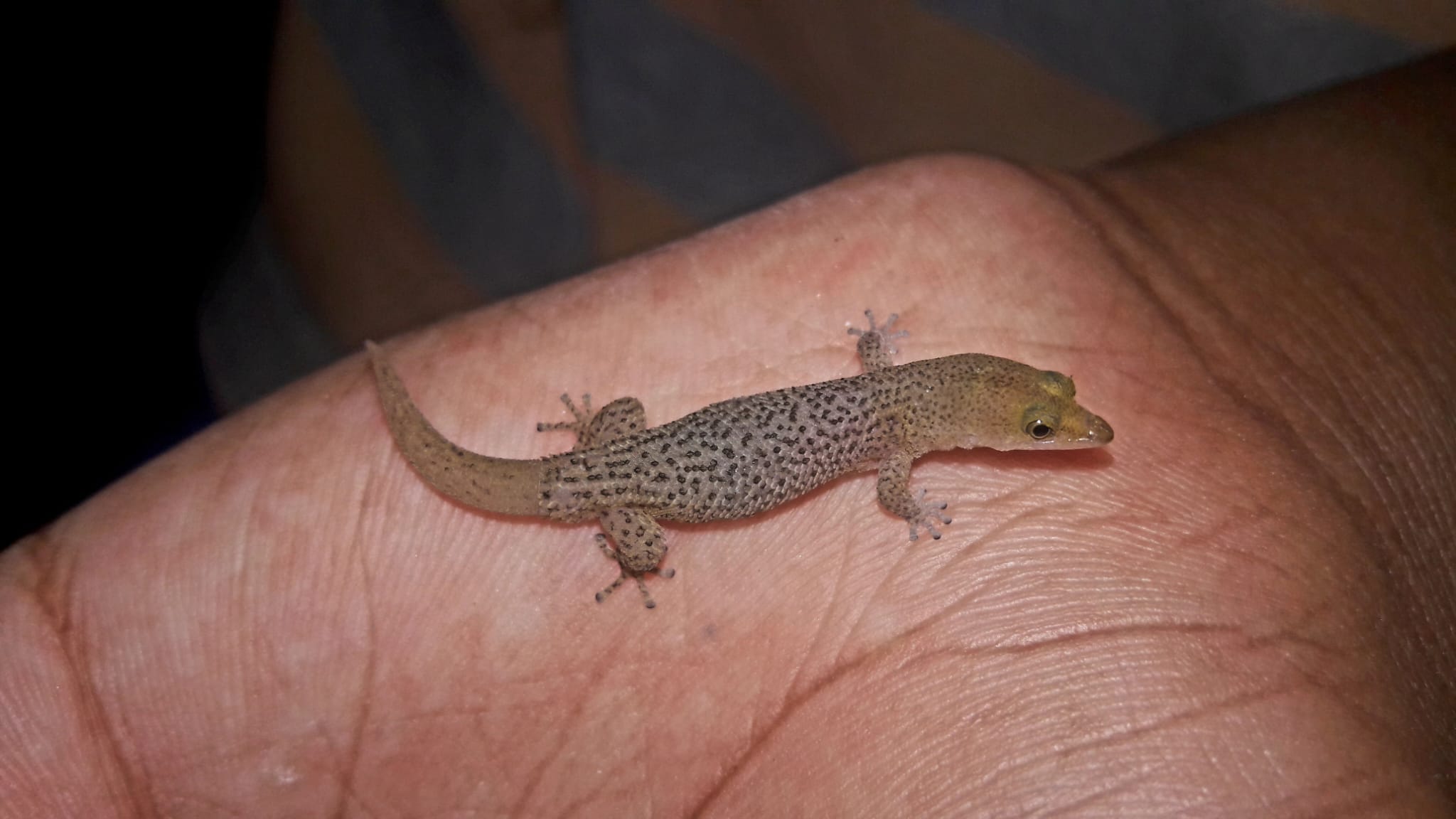 WhatsApp Image 2023-08-12 at 4.06.01 PM