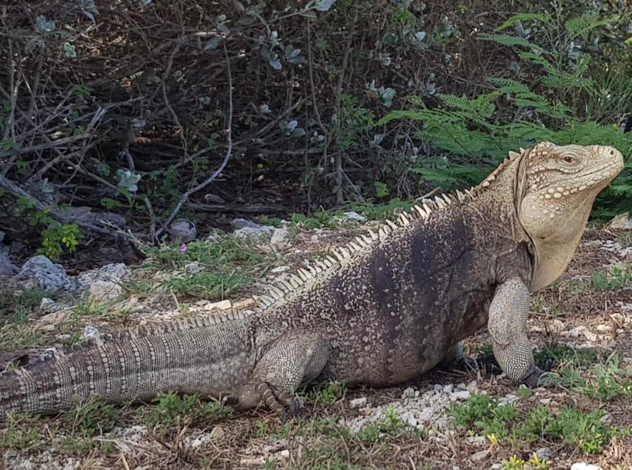 WhatsApp Image 2023-08-12 at 8.56.02 PM